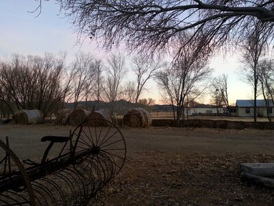 Farm equipment trees photo