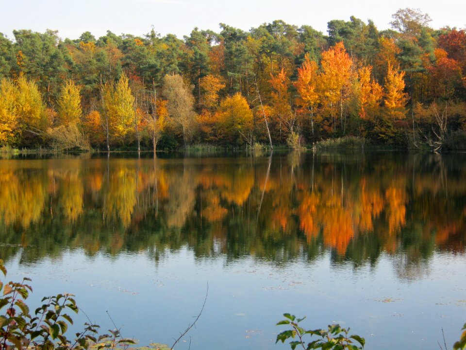 October autumn sunny