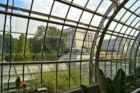 Hothouse plants flowers