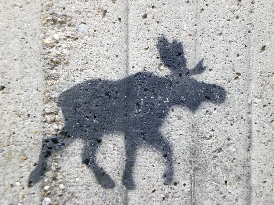 Moose wall figure