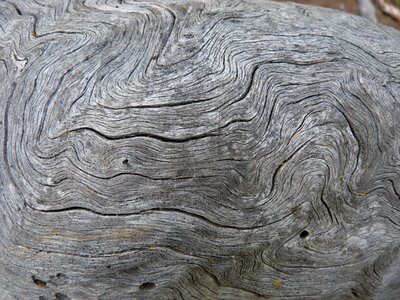 Cracks tree structure