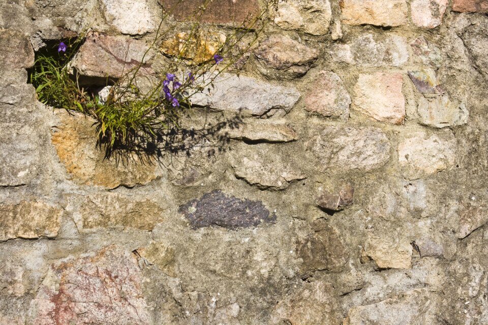 Sand stone wall texture