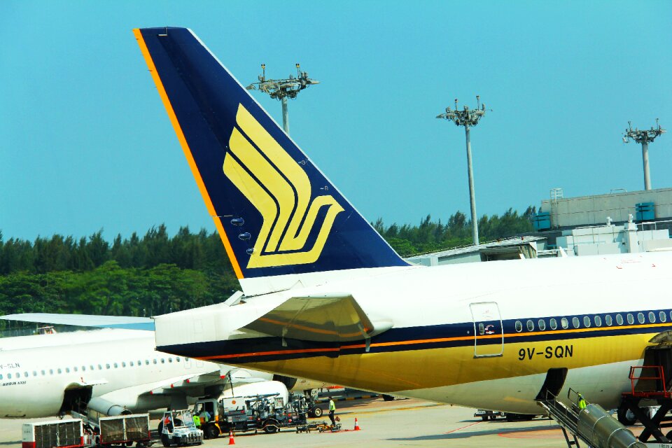 Logo wing flight