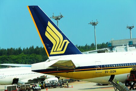 Logo wing flight photo