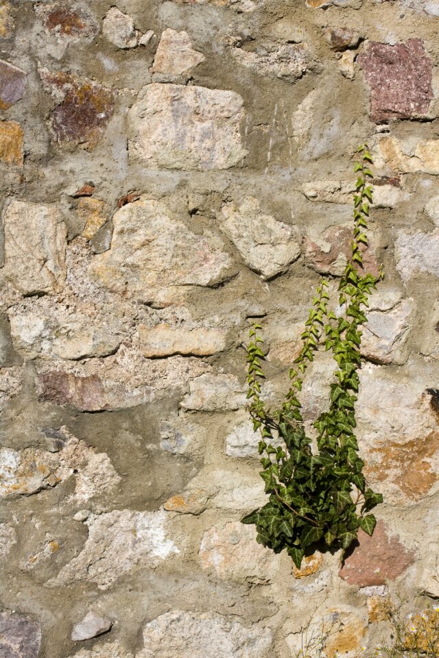 Sand stone wall natural stone