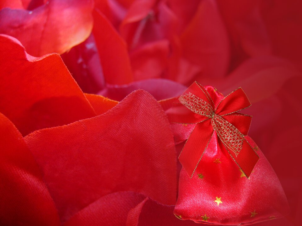 Background red poinsettia