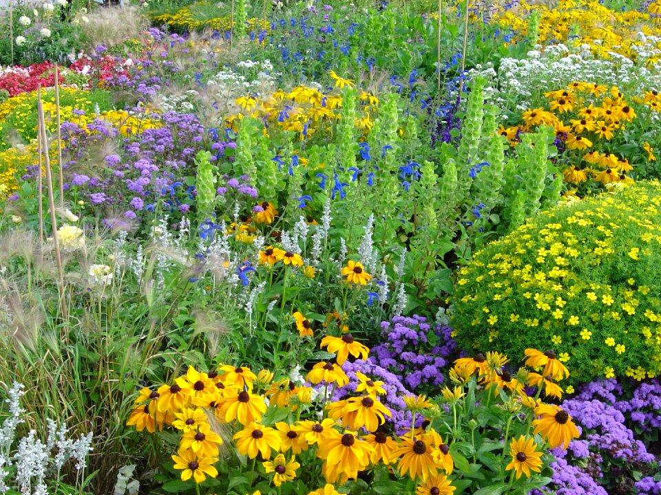 Park biodiversity colorful