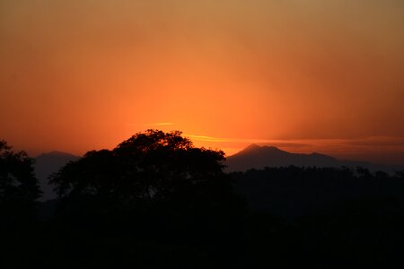 Sunset silhouette nature photo