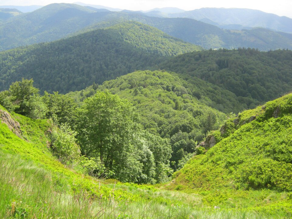 Hill forest hiking