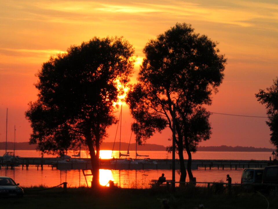Sunset trees silhouette