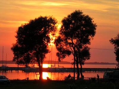 Sunset trees silhouette photo