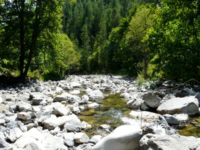 Alps verdon nature