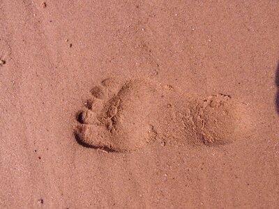 Trace sand beach photo