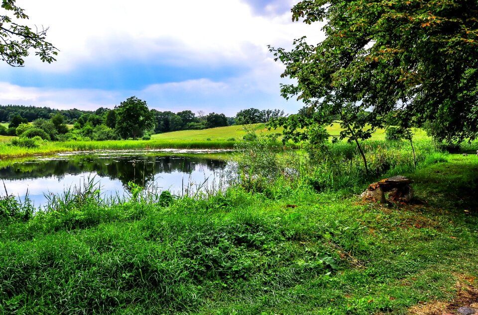 Biotope rest nature