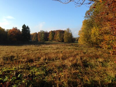 Autumn skåne nature