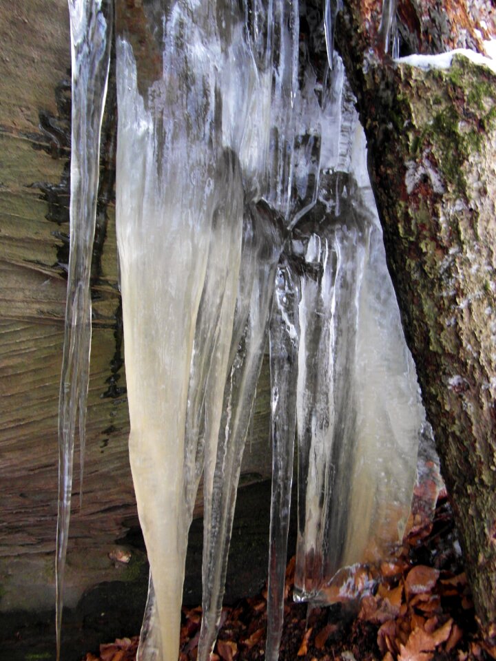 Rock winter palatinate