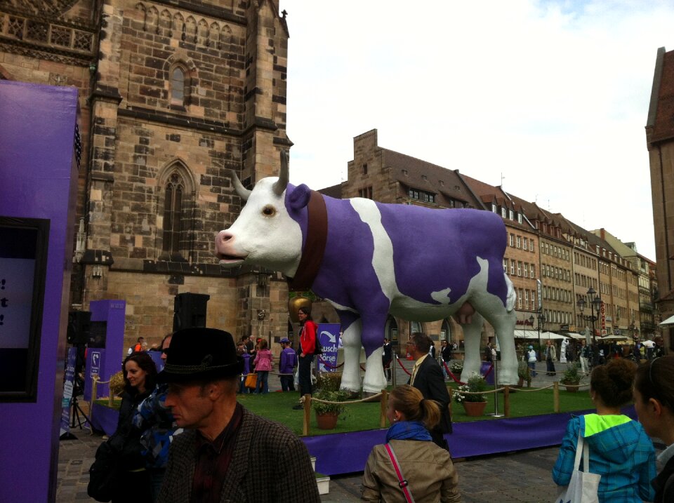 Cow animals milk cow
