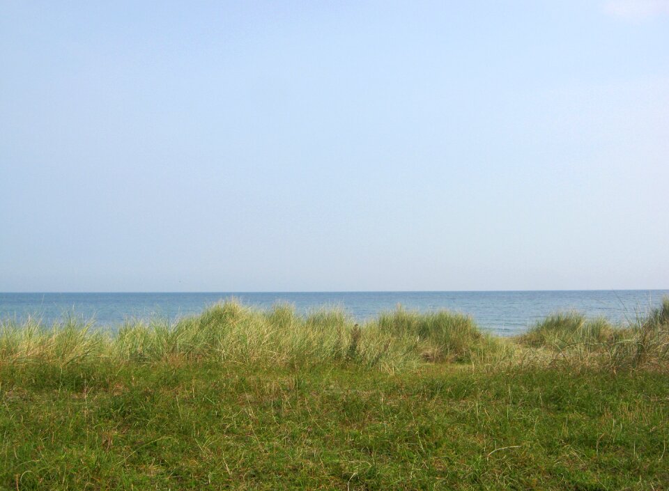 Dune grass baltic sea sea