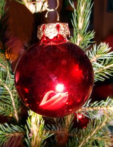 Christmas bauble red tree decorations photo