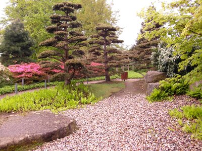 Away applied park