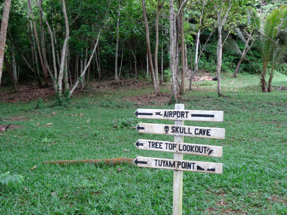 Airport sign green news green island