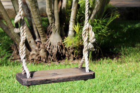 Swing mexico yard