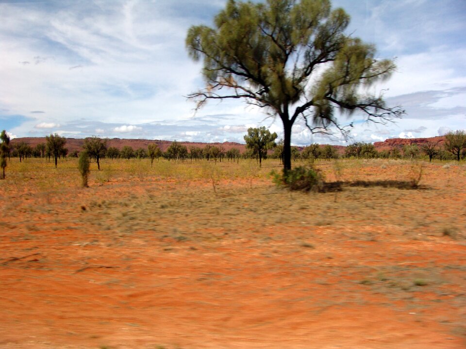 Desert australia red