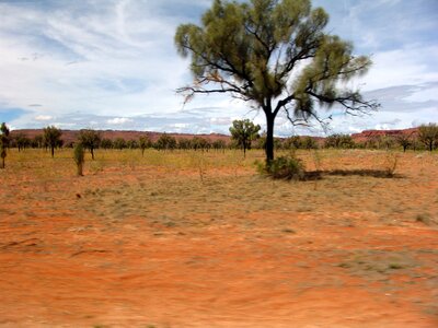 Desert australia red