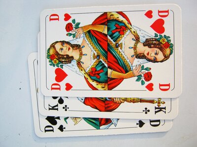 Heart lady skat