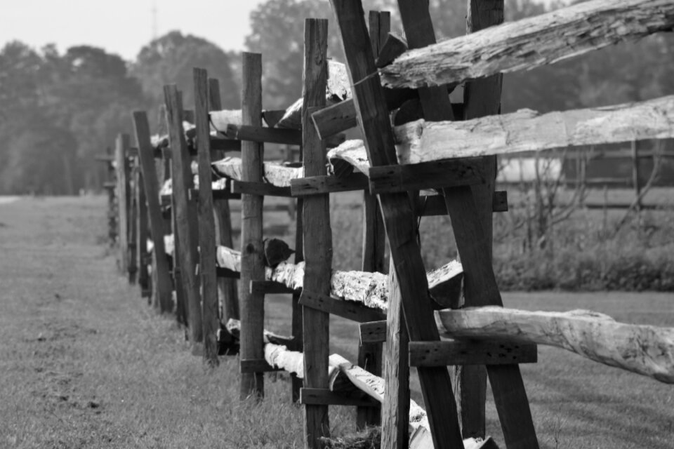 Farm fields agriculture