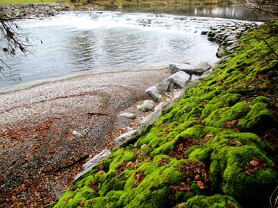 Stones moss bemoost
