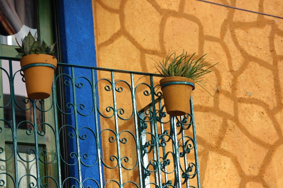 Mexico reflection wall