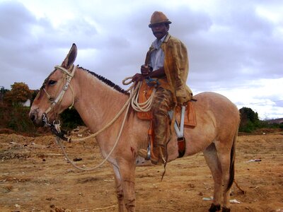 Vale do jequitinhonha araçuaí cowboy