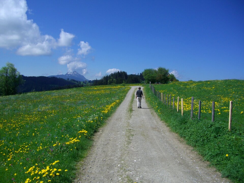 Walk trail wanderer