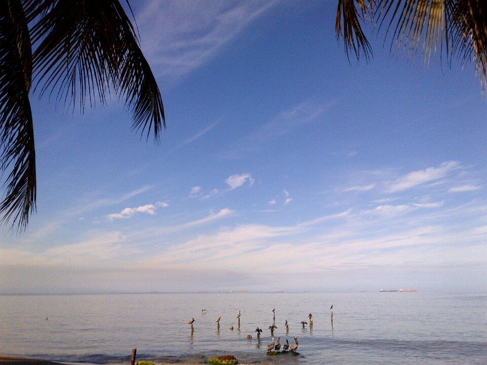 Sky praia mansa horizon
