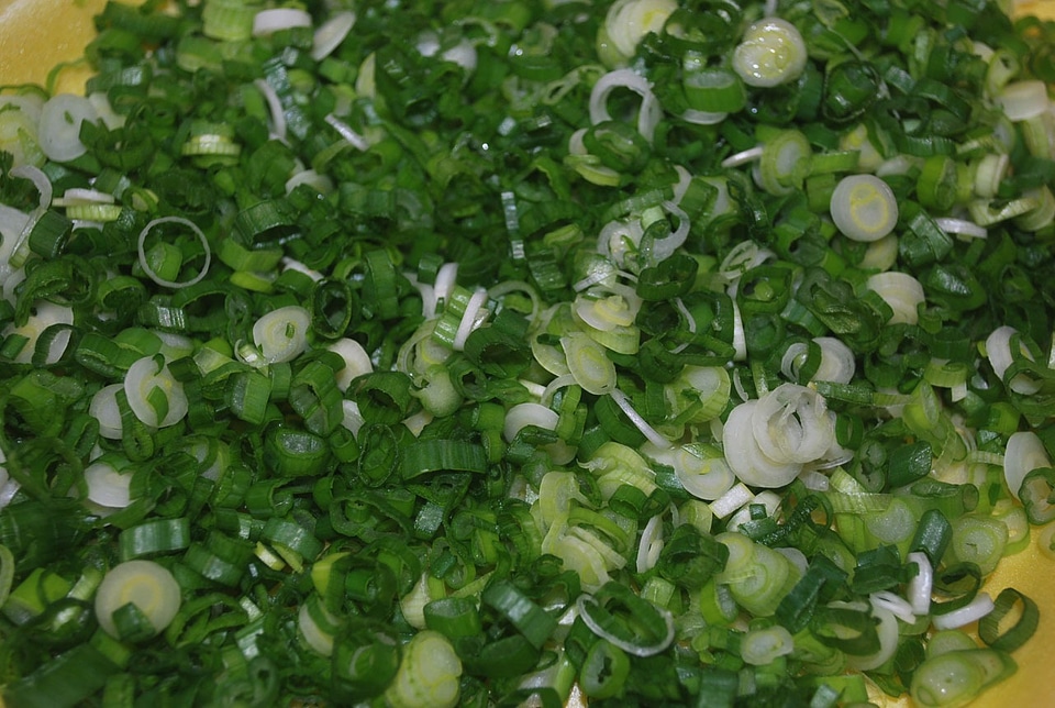 Chopped food green onion