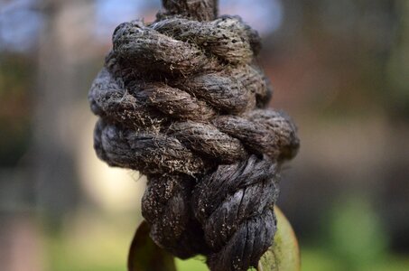 Knot cordage fixing