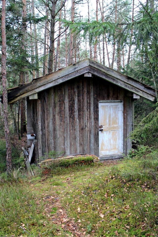 Log cabin forest nature