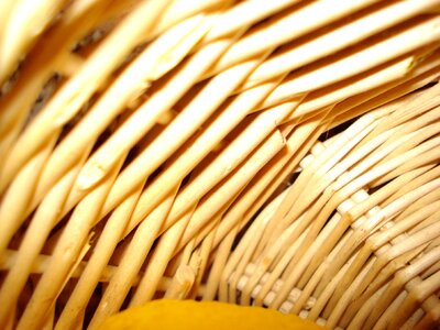 Light brown background texture