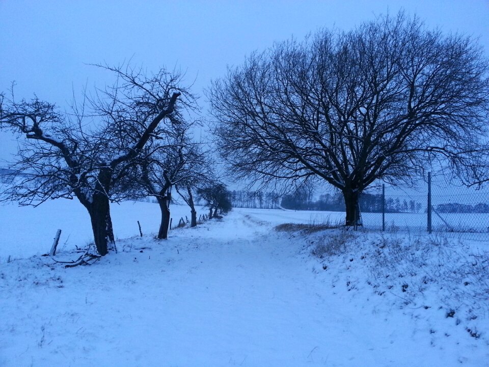Snowy blue white