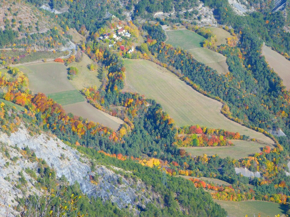 Tree colorful mountain