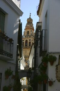 Cordoba capital street flowers