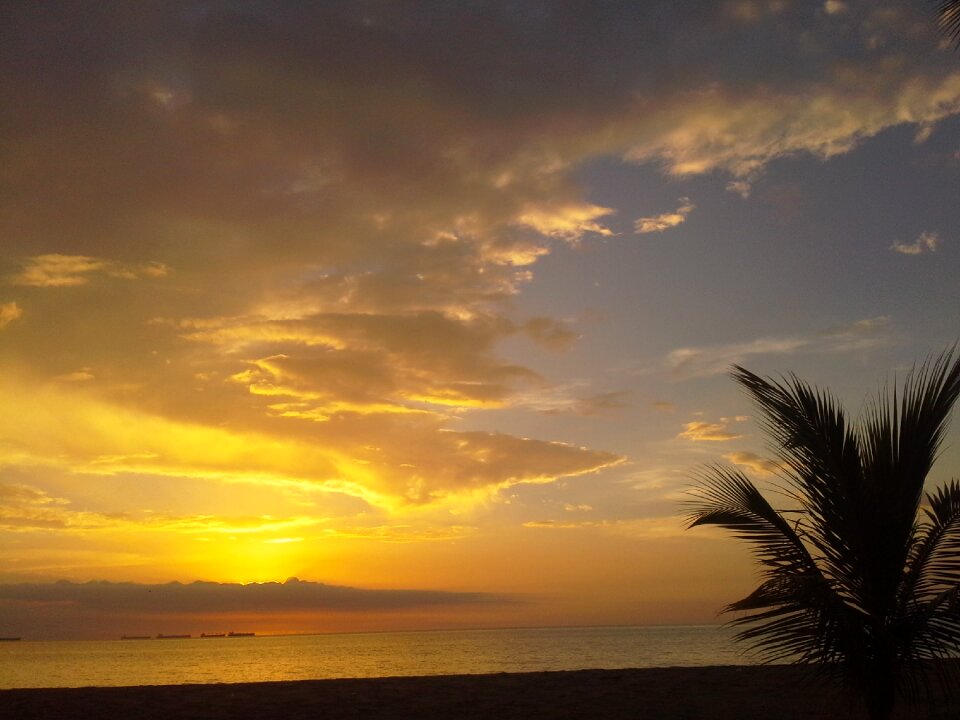 Cloud palms horizon photo