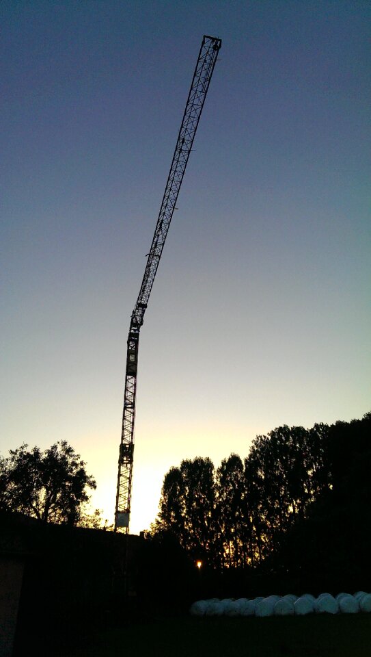 Crane night twilight