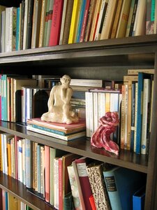 Library bookshelf figure photo