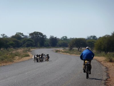Lonely africa cyclist