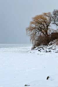 Frozen lake nature