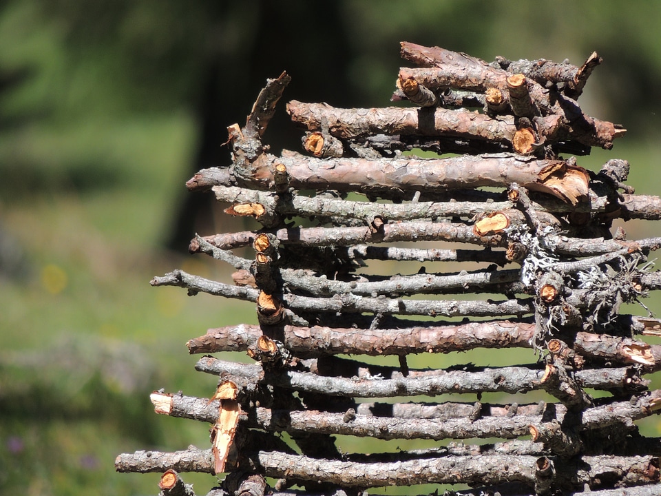 Firewood stack log aesthetic