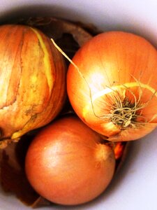 Bolle kitchen onion brown