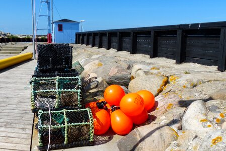 Orange green port photo